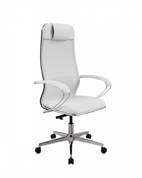 Кресло SynchroSit 10 Кресло ErgoLife Comfort