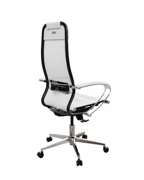 Кресло SynchroSit 10 Кресло ErgoLife Set 4/подл.131/осн.Synchro 004