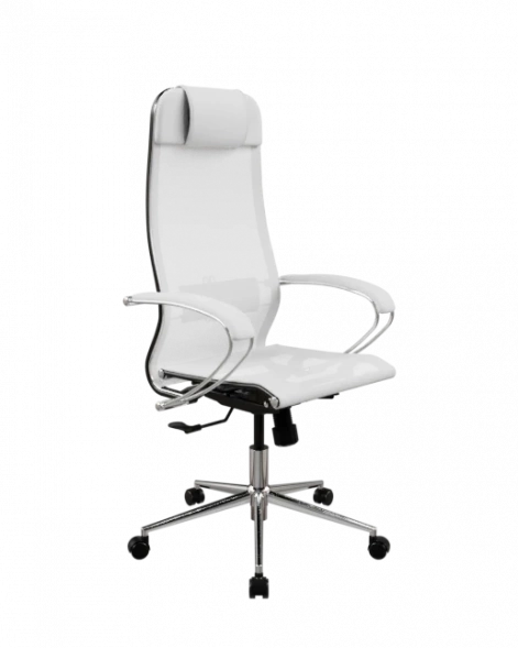 Кресло SynchroSit 10 Кресло ErgoLife Set 4/подл.131/осн.Synchro 052