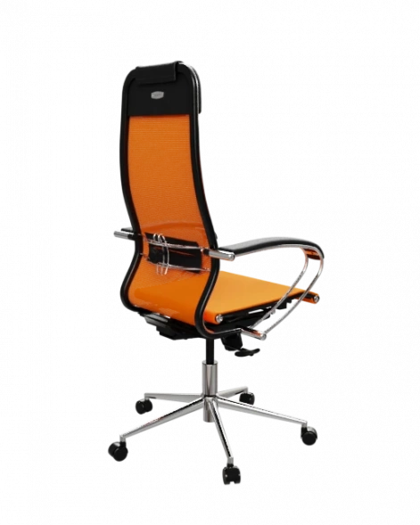 Кресло SynchroSit 10 Кресло ErgoLife Set 12/подл.131/осн.Synchro 052