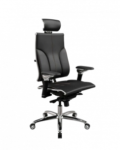 Кресло Yoga Spine Y 4DT L2-10D - Genuine