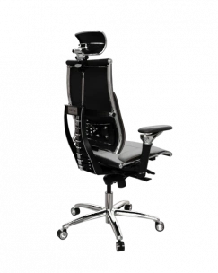 Кресло Yoga Spine Y 4DT L2-10D - Genuine